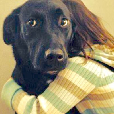 boxingboyle's profile picture. 