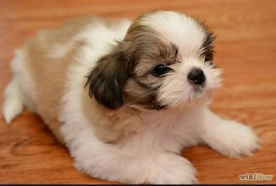 rohini__g's profile picture. 