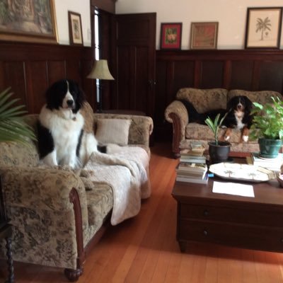 joni_hockert's profile picture. Retired gerontologist/social worker. Native Californian living the dream in Victoria, BC. I love bad puns, good tequila, big dogs, and a warm beach.