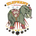 Elephant Pictures - @Elephant_____ - Twitter