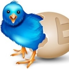 📌People I #follow are all DECENT users and will #FollowBack DECENT users.
📌Please follow this account's admin, @esfand, too. He'll follow you back. #f4f