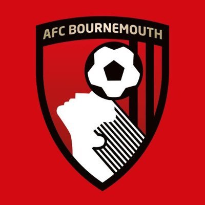 Rochester, NY based @AFCBournemouth fan/supporter.