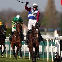 Derek Fox (@derekfoxjockey) 's Twitter Profile