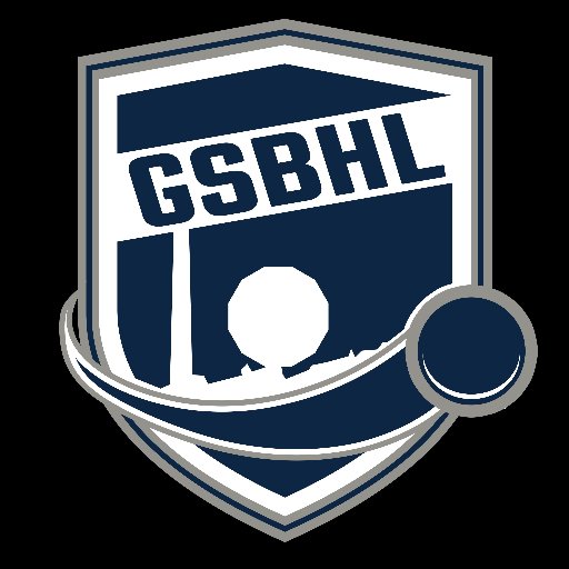 Follow!, Play! and Enjoy! Sudbury's first and most in-depth ball hockey league. Come enjoy what the Greater Sudbury Ball Hockey League has to offer!