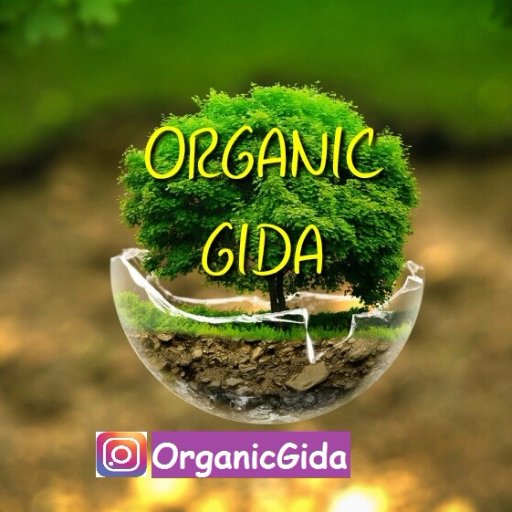 İnstagram: OrganicGida ✋✋✋Retweetler onayladığım anlamına gelmez.