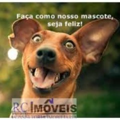 RCImoveisRj1's profile picture. 