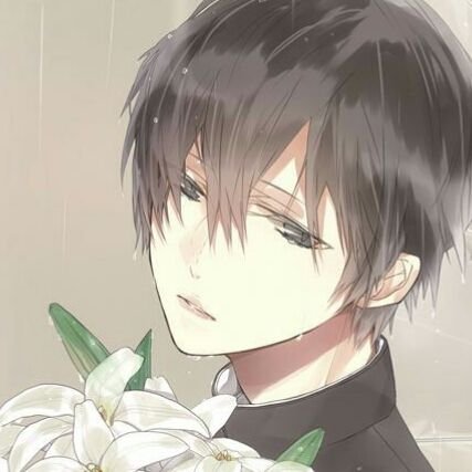 めぐさんのプロフィール画像