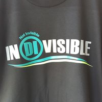 NotInvisibleUSA🌊(@indivisible_usa) 's Twitter Profile Photo