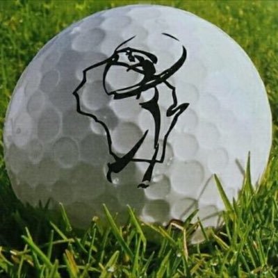 Golf Coaches Association of WI Profile