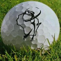 Golf Coaches Association of WI(@GCAOWI) 's Twitter Profileg