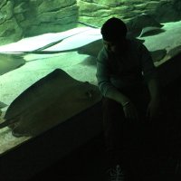Gurjot Singh (@123gurjot_singh) 's Twitter Profile