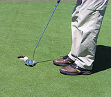 mvanderveen's profile picture. IT Systems Architect, BlackBerry, Father, Cyclist, Hockey Player, Golfer, Runner, Snowmobiler ... Outdoors Enthusiast :)