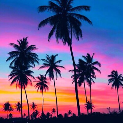 Francine_Pe's profile picture. 