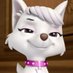 Sweetie (@sweetiepatrol) Twitter profile photo Sweetie (@sweetiepatrol) Twitter profile photo