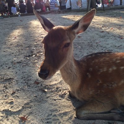 nosuke_ryu_'s profile picture. 1729