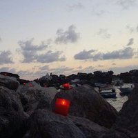 Ricardo Bolaño Sánchez (@ric_bolao) 's Twitter Profile