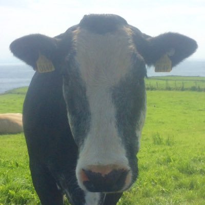 clarey_marey's profile picture. 