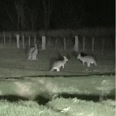 Jakson90197839's profile picture. Entertainment