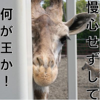 にーとん@Lv33(@junx913x) 's Twitter Profile Photo