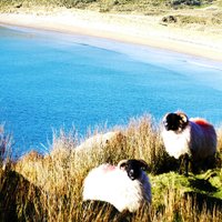 Malin Donegal holiday let(@MalinHolidayLet) 's Twitter Profile Photo