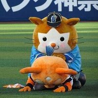ハマの〇〇 (@yosuke_57) 's Twitter Profile Photo ハマの〇〇 (@yosuke_57) 's Twitter Profile Photo
