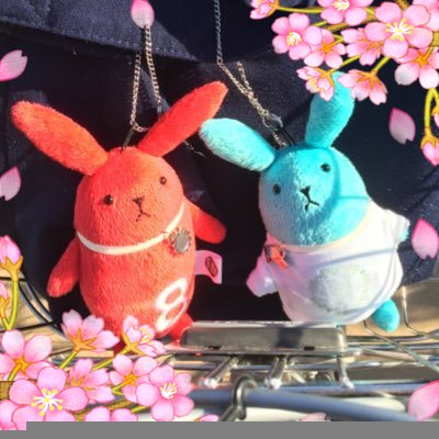 葉月さんのプロフィール画像