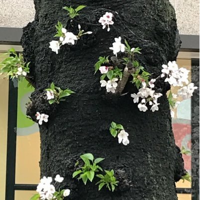 2015年8月20日15年苦楽を共にしてくれた最愛のわんこが永眠し『三人家族』がとうとう二人っきりとなってしまいました。2017年は娘の高校受験。そして私の長時間過重労働にはなかなか ピリオドを打てず。手も足も出ない状態で心折れる毎日。唯一ホットヨガとツイッターで吐露することでバーンアウトギリギリ。パワーが欲しい!