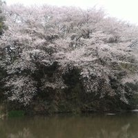 希流 (@kiryuno) 's Twitter Profile Photo 希流 (@kiryuno) 's Twitter Profile Photo