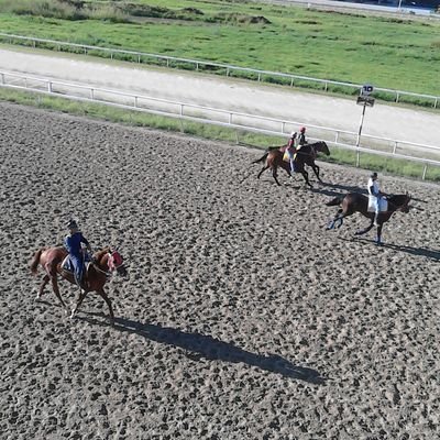 CABALLERIZO Y DOLIENTE DE LAS INJUSTICIAS CONTRA EL TRABAJADOR