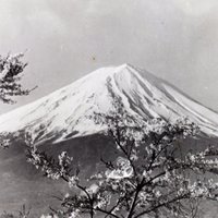 残花録 (@fuyo1945) 's Twitter Profile Photo 残花録 (@fuyo1945) 's Twitter Profile Photo