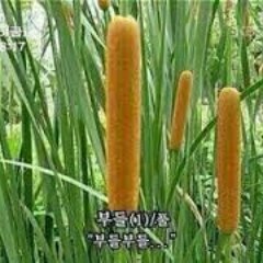 underthesea1231's profile picture. 