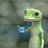 geck0_k's profile image