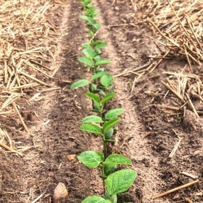 Farm Conservation Made Simple. #ConservationConsultants #SoilHealth #CoverCrop #RegenerativeAgriculture