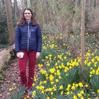 Rosamund Bradbury (@rosamundb) 's Twitter Profile