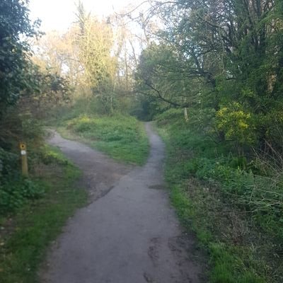 BenElroys's profile picture. 