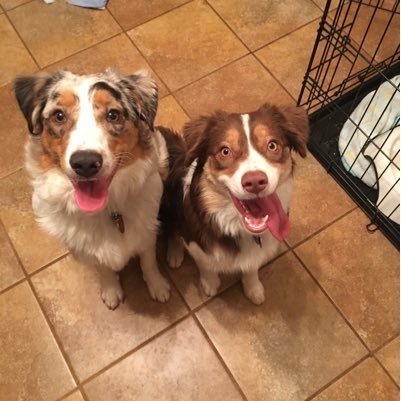 Heisenburg1247's profile picture. 