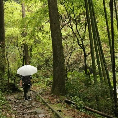 inuwasi2hihaku's profile picture. 好き勝手する引かない引かない
