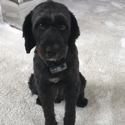 bussey88's profile picture. 