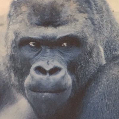 多忙であんまおらんけど生きてます！！！さんのプロフィール画像