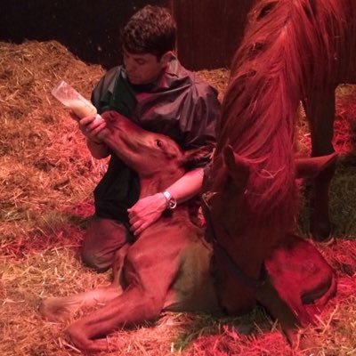 MurfittRussell's profile picture. 