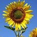france_images (@france_images) Twitter profile photo france_images (@france_images) Twitter profile photo