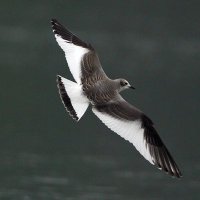 Dave Kelsall (@dkelsall3) 's Twitter Profile Photo Dave Kelsall (@dkelsall3) 's Twitter Profile Photo