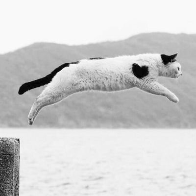 ArkanabakTr's profile picture. 