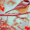 Серафим Беляев (@1978Old9) Twitter