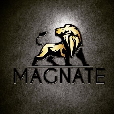 MagnateAdvisors's profile picture. Strategic Planning and Business Development. Influential. Experienced. Fierce. It's time. #RuleYourWorld Launched in 2019. Grown in 2020. Dominating in 2021.