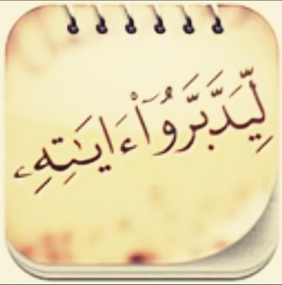 sfab0553135123's profile picture. 