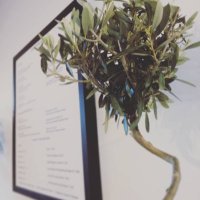 Gustum Chester (@gustumchester) 's Twitter Profile