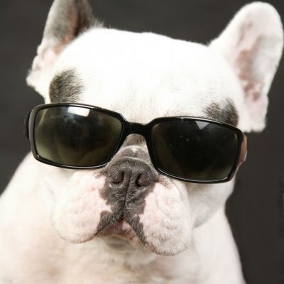 dyleva120's profile picture. Best Timy,Vincent ❤️❤️💉💉💯💯