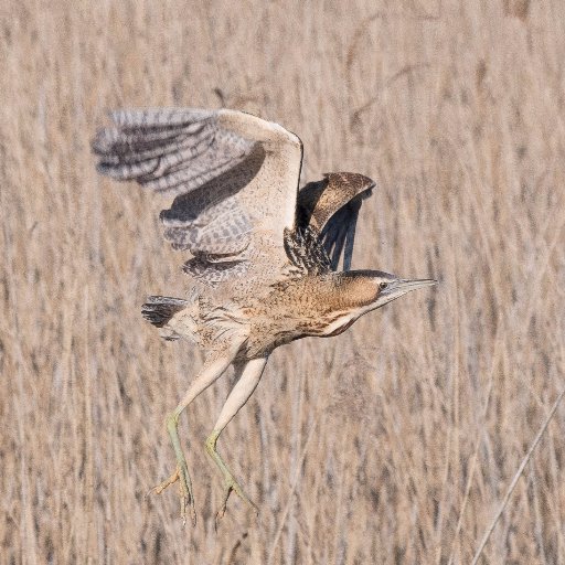 DaveRLakenheath's profile picture. 