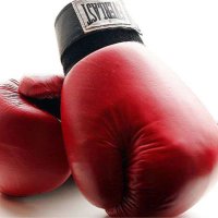 Boxing Polls (@pollsboxing) 's Twitter Profile